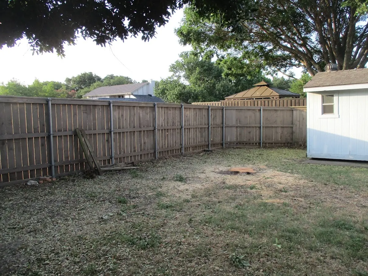 Cleared yard after professional tree removal in Horseshoe Beach